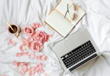 Starting to write a blog in summer is cool